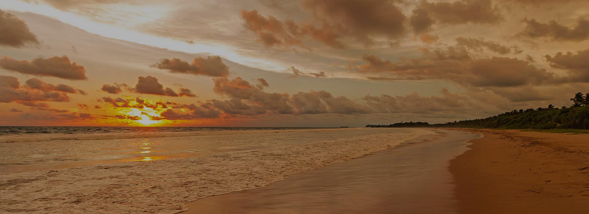 Tales of Ceylon